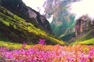 Fotovýlet Údolím kvetov (India)