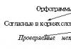 Ипс орфографическое комментирование русского словаря