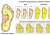 Open Library - открытая библиотека учебной информации Какой массаж делать при плоскостопии